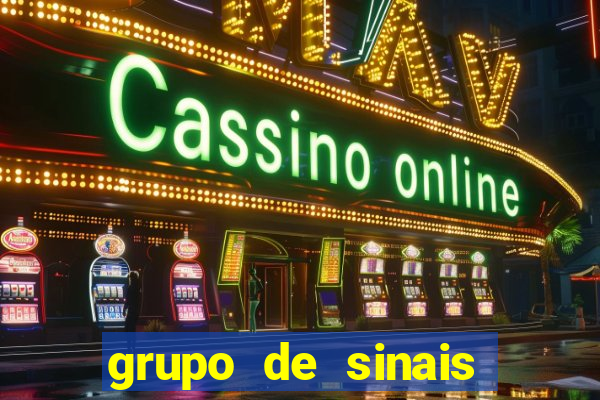 grupo de sinais trader telegram